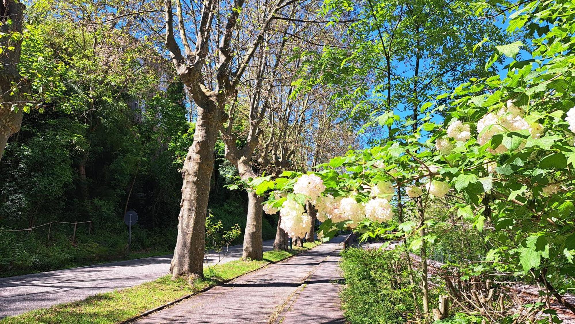 Du Doubs Au Doux Lamastre Exterior foto